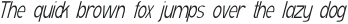 VENTURAS Light Italic otf (300)