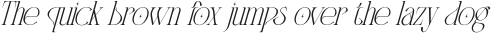 PARANOID CHARACTER LIGHT ITALIC otf (300)