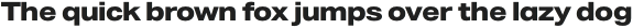 Neue Grand 83 UltraBold Wide otf (700)