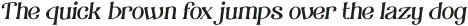 Onimusha Light Italic otf (300)