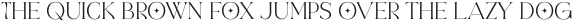 Marione-Regular otf (400)