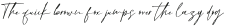 Broken Signature Regular otf (400)