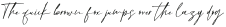 Broken Signature Regular ttf (400)