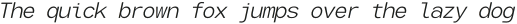 Glamure Mono Light Italic otf (300)