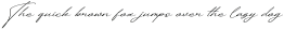 Tranquil Euphoric Script Italic otf (400)