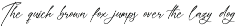 Everlast Roman Font Duo preview