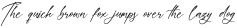 Everlast Roman Script otf (400)