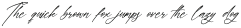 Everlast Roman Script Italic otf (400)