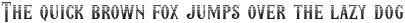 Beard Point Texture otf (400)