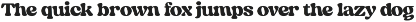 Dreamer Vintage Serif preview