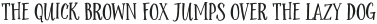Sunshine Daisies Serif otf (400)