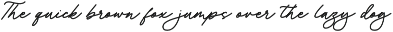 Antyna Handwritten Font preview