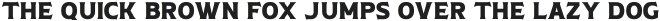 Pronter Serif otf (400)