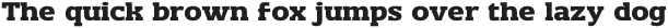 BilanySerif-Regular otf (400)