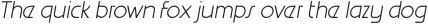 Migelo Thin Italic otf (100)
