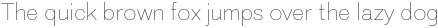 Ellora Thin otf (100)