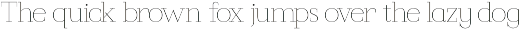 Callidora New Modern Serif preview