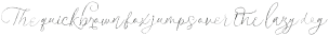 ManRay Script3 otf (400)