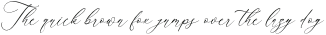 Andorale Heart Italic otf (400)