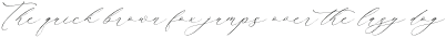 Waltney Flores Italic otf (400)