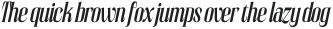 JHC Audemars Medium Italic otf (500)