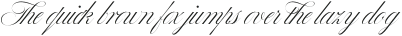 BustraScriptPro-Bold otf (700)