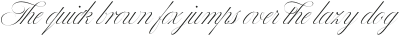 Bustra Script Pro Medium otf (500)
