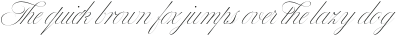 Bustra Script Pro Light otf (300)