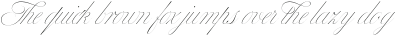 Bustra Script Pro Thin otf (100)