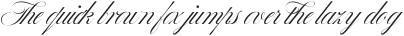 Bustra Script Pro Black otf (900)