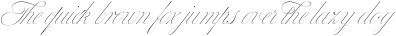 Bustra Script Pro Thin ttf (100)
