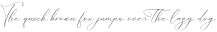 Portterda otf (400)