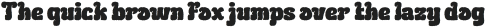 BEKURI Distort otf (400)