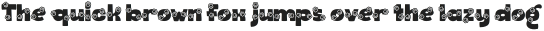 Bark Type Paw otf (400)