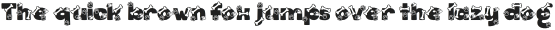 Bark Type Decorative otf (400)