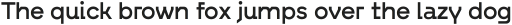 RFX Modern Semibold ttf (600)