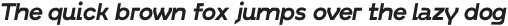 RFX Modern Bold-Italic ttf (700)