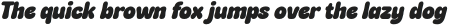 PuddyGum-Italic otf (400)