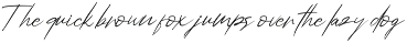 Angellina - Modern Script font preview