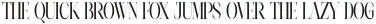 Najika Regular otf (400)