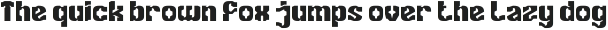 Time Traveler otf (400)