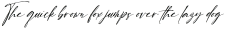 StelashildScript-Regular otf (400)