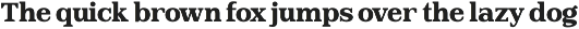 Goldtext - Versatile Bold Serif preview
