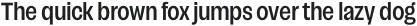 Campeche SemiBold Condensed otf (600)