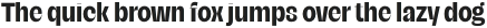 Campeche Display Black Condensed otf (900)