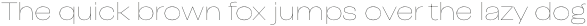 Campeche Display Thin Expanded otf (100)