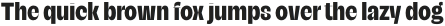 Campeche Display Heavy Condensed otf (800)