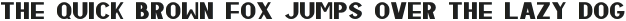 Recon otf (400)