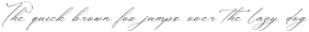 Anthellia Modern Calligraphy Script preview
