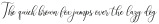 Larisathin Script Regular otf (100)